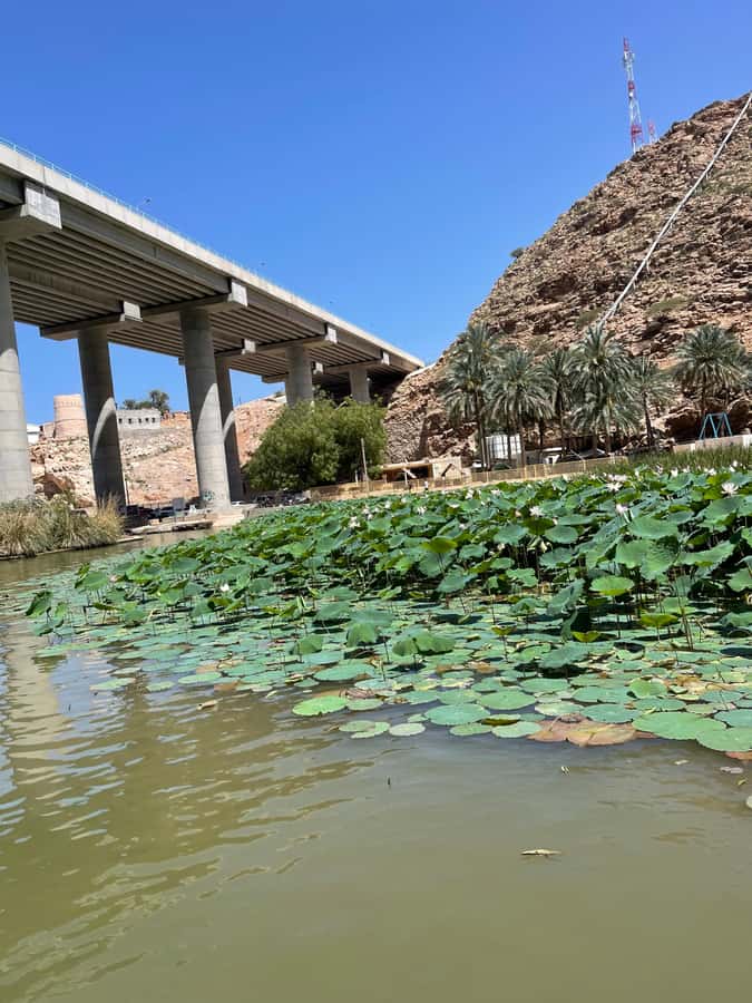 Muscat: Wadi Shab, Romantic Cave and Sinkhole Full-day Trip - Swimming time in crystal-clear pools and the waterfall cave payoff