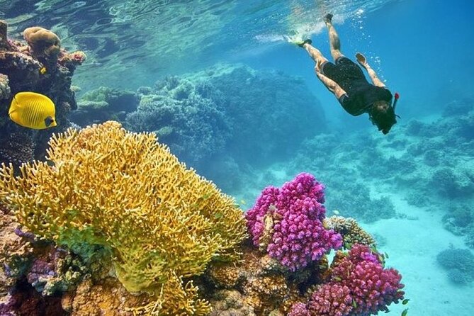 Orange Bay Island 2 Snorkeling Stops Water Sports Romantic Escape - How the Morning Pickup and Yacht Ride Really Feel