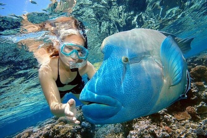 Orange Bay Island 2 Snorkeling Stops Water Sports Romantic Escape - Banana and Sofa Rides: Fun, Splash, and Safety Reality