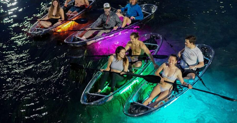 Orlando: Date Night LED Night Glow Tour with Sparkling Wine - What you’ll see on the water: fish, turtles, birds, and no alligators