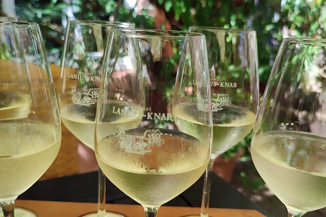 Private day trip to the Romantic Rhine Valley with river cruise and wine tasting - Meeting point, pickup, and the 9:00 am start