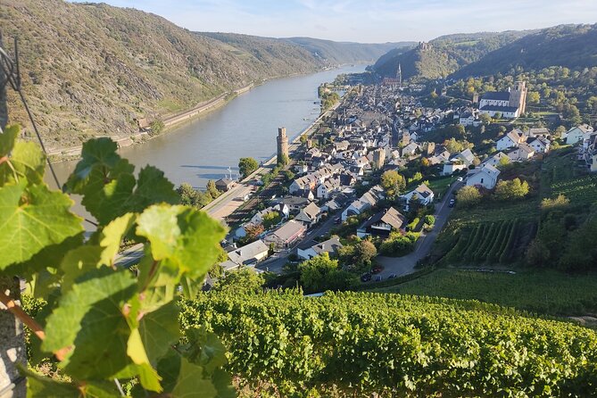 Private day trip to the Romantic Rhine Valley with river cruise and wine tasting - Stop 2: Schloss Johannisberg—Riesling roots and a viewpoint moment