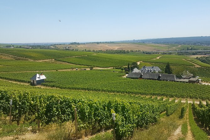 Private day trip to the Romantic Rhine Valley with river cruise and wine tasting - Stop 3: Rüdesheim am Rhein—touristy, yes, but useful for lunch and boarding