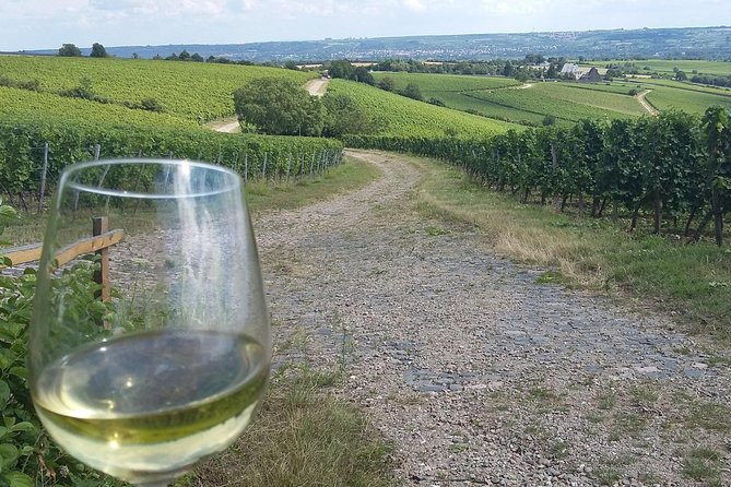 Private day trip to the Romantic Rhine Valley with river cruise and wine tasting - Stop 4: Burg Rheinfels—big fortifications, short visit, extra ticket