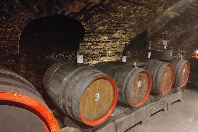 Private day trip to the Romantic Rhine Valley with river cruise and wine tasting - Stop 5: Oberwesel—wine tasting + wine cellar visit, with optional lunch