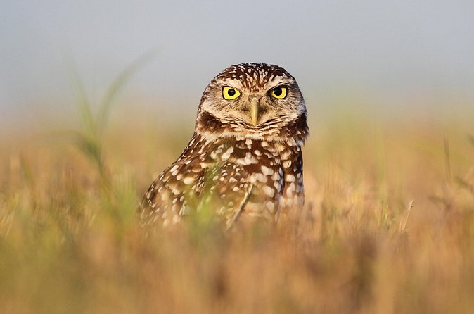 Private Nature Tour for Couples - How Stops Feel in Real Life: From Lookouts to Eagle Spots