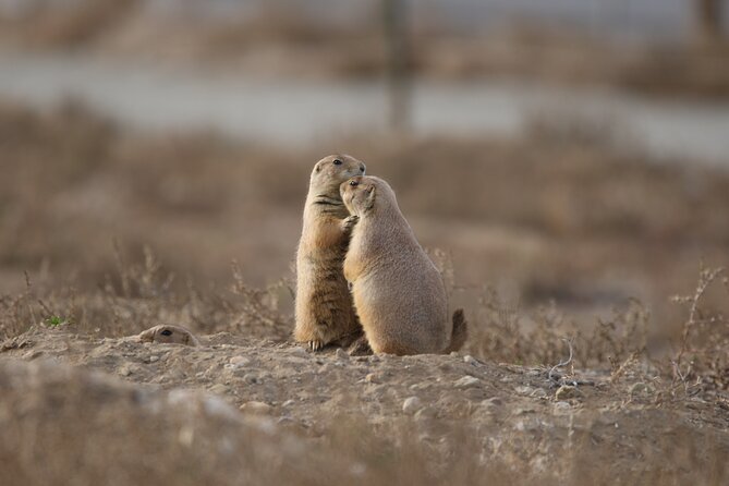 Private Nature Tour for Couples - What You Should Bring (So the Day Feels Easy)