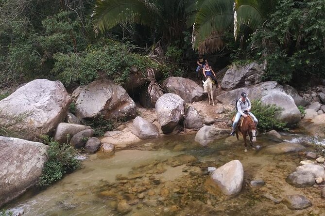 Rey Spearo - Enchanting And Romantic Custom Created Tours - El Eden and Edenva Parque Ecoturistico: where the nature time happens