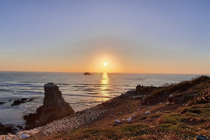 Romantic Auckland Sunset tour with Winery & Thermal pool - Key things to know before you go