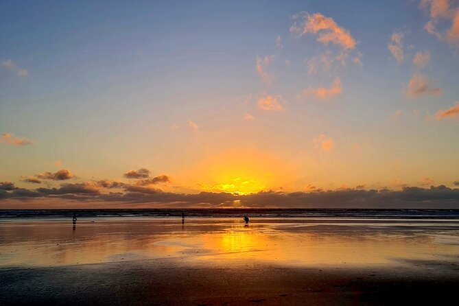 Romantic Auckland Sunset tour with Winery & Thermal pool - Muriwai Beach at sunset: black sand, west-coast drama, and rain-proof expectations