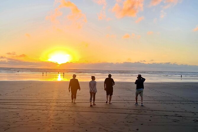 Romantic Auckland Sunset tour with Winery & Thermal pool - Price and value: what $279.26 really buys you in real terms