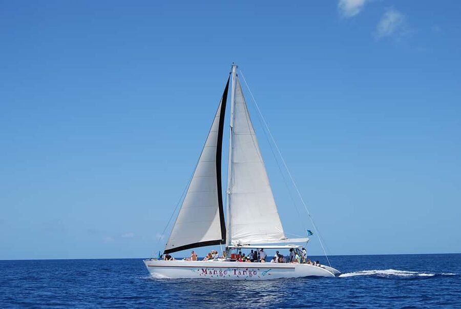 Romantic Caribbean Sunset Cruise - The Catamaran Ride: Views, Comfort, and Sea-Legs