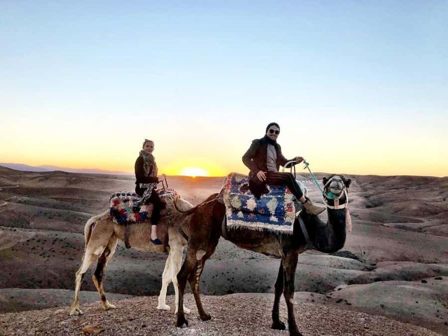 Romantic Dinner & Camel Ride In Agafay Desert - The Camp Setup: Mint Tea, Pasties, and the Nomad-Style Welcome
