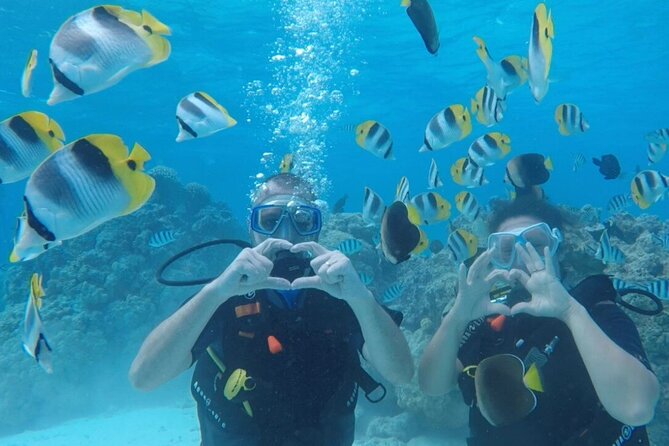 Romantic Dive for beginners in Bora Bora (2 people) with Video - Quick hits for your Bora Bora day