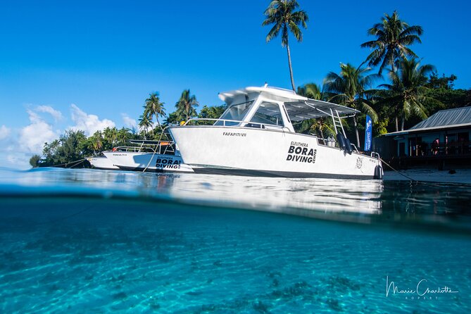 Romantic Dive for beginners in Bora Bora (2 people) with Video - The pearl keepsake: black pearl included