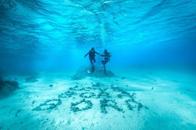 Romantic dive in the lagoon of Bora Bora. Private instructor on a shared boat - Key highlights you’ll care about