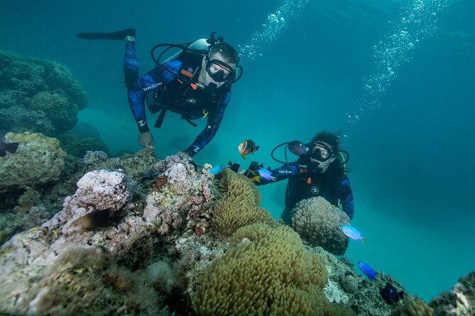 Romantic dive in the lagoon of Bora Bora. Private instructor on a shared boat - Bora Bora lagoon romance for two, without the crowd feeling