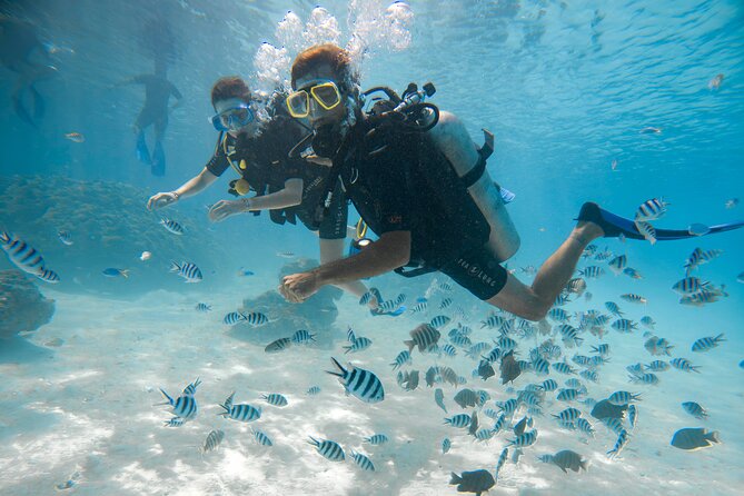 Romantic dive in the lagoon of Bora Bora. Private instructor on a shared boat - Price and value: why $479 can make sense here