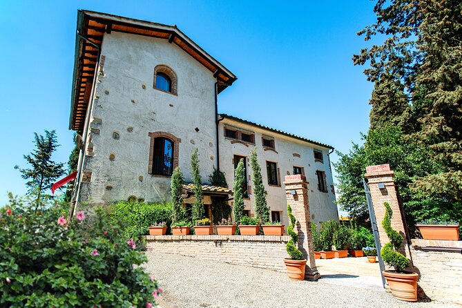 Romantic Escape in Tuscany - Overnight and Wine Tasting - The wine and oil tasting: ten pours, taught simply