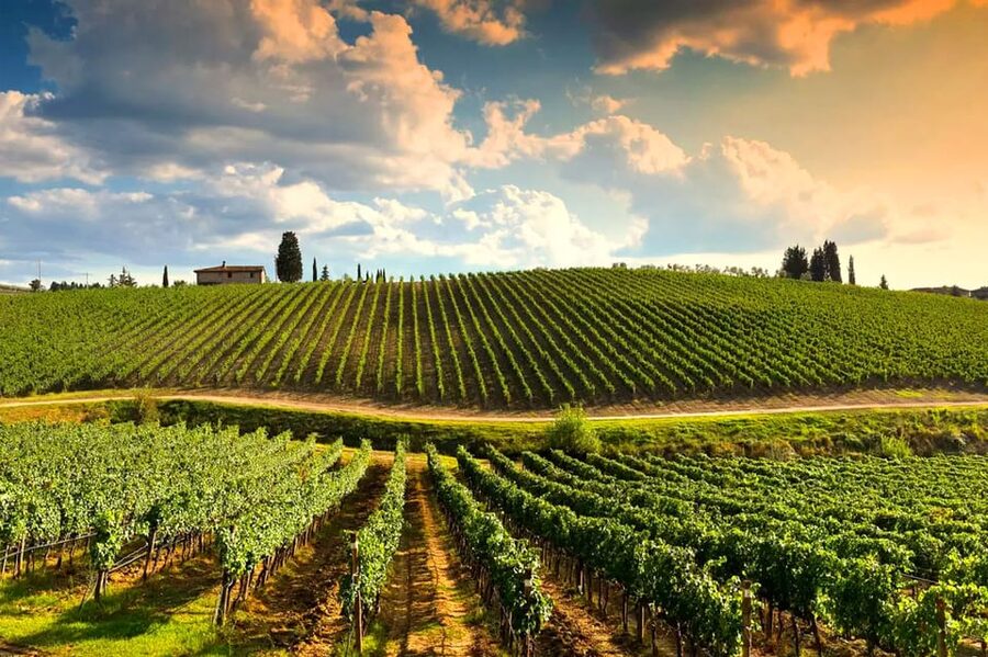 Romantic Escape in Tuscany with Overnight and Wine Tasting - Torciano Hotel Classic Room: Comfort Meets Couple Quiet