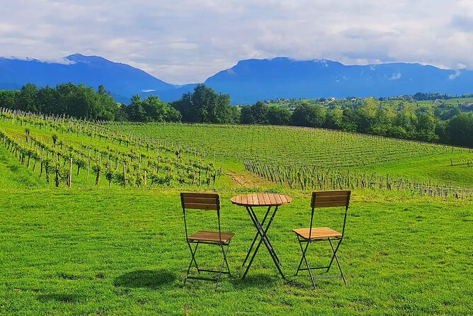 Romantic Evening Tasting with the Best Prosecco - The Setting at Tenuta’s Wine Bar: Views, Calm, and Atmosphere
