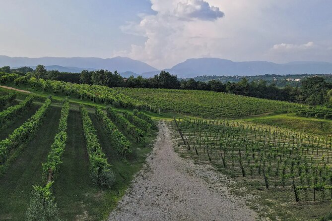 Romantic Evening Tasting with the Best Prosecco - Meet Marco and the Winery History (Not Just Wine Names)