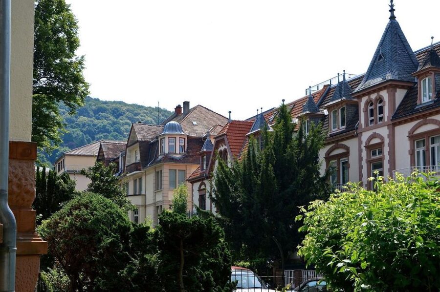 Romantic Heidelberg: Private Tour With Professional Guide - Key highlights I think you’ll care about