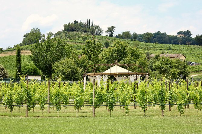 Romantic Lunch in the Vine Rows in Tuscany - Dessert wine and cantuccini, plus reserve wine sampling