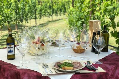 Romantic Lunch in the Vine Rows in Tuscany - Your arrival stroll: vines, olive groves, and time to settle