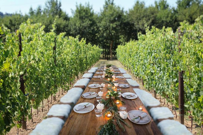 Romantic Lunch in the Vine Rows in Tuscany - Wine tasting in the Torciano reserve style