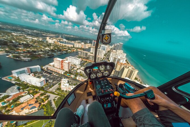 Romantic Miami Helicopter Tour with Champagne - Key Biscayne wildlife: when nature cooperates