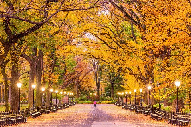 Romantic Proposal Carriage Tour in Central Park - Key things I’d watch for before booking