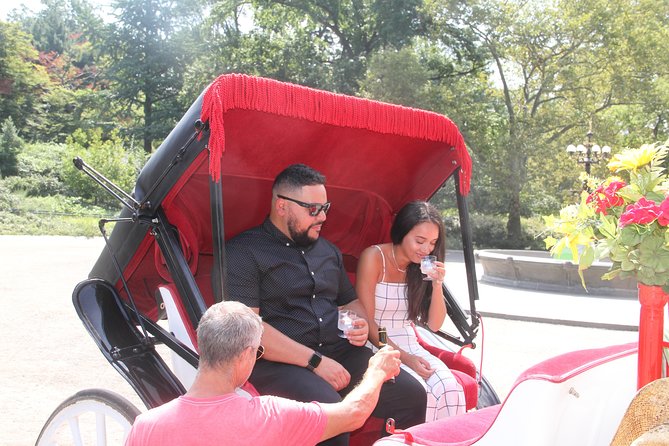 Romantic Proposal Carriage Tour in Central Park - Why a carriage proposal through Central Park feels so right