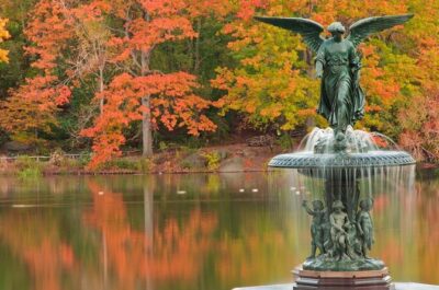 Romantic Proposal Carriage Tour in Central Park - Private carriage comfort: what 50 minutes really gives you