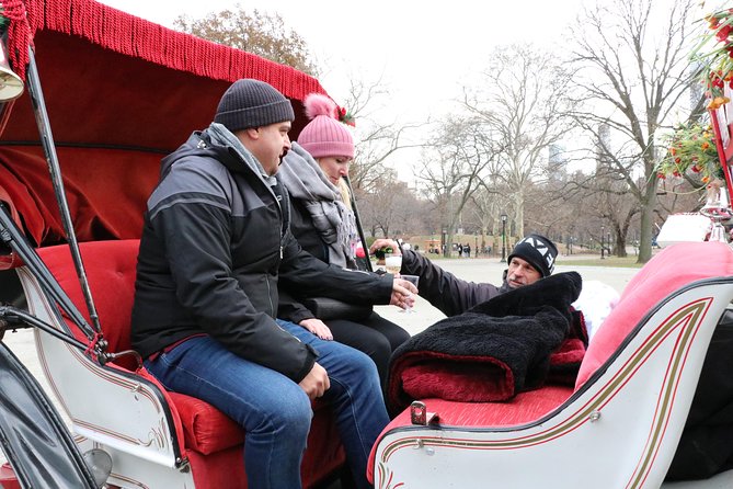 Romantic Proposal Carriage Tour in Central Park - The first Central Park scene: setting the tone near 59th Street