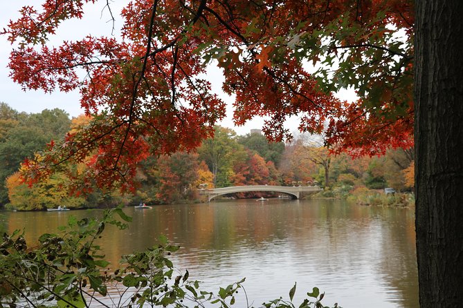 Romantic Proposal Carriage Tour in Central Park - Bow Bridge: the romantic photo frame with real details