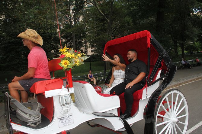 Romantic Proposal Carriage Tour in Central Park - The driver matters: ask for Louis if you can