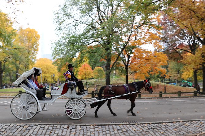 Romantic Proposal Carriage Tour in Central Park - What’s included (and how to use it to create a better moment)