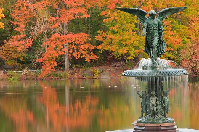 Romantic Proposal Carriage Tour in Central Park - Private carriage comfort: what 50 minutes really gives you