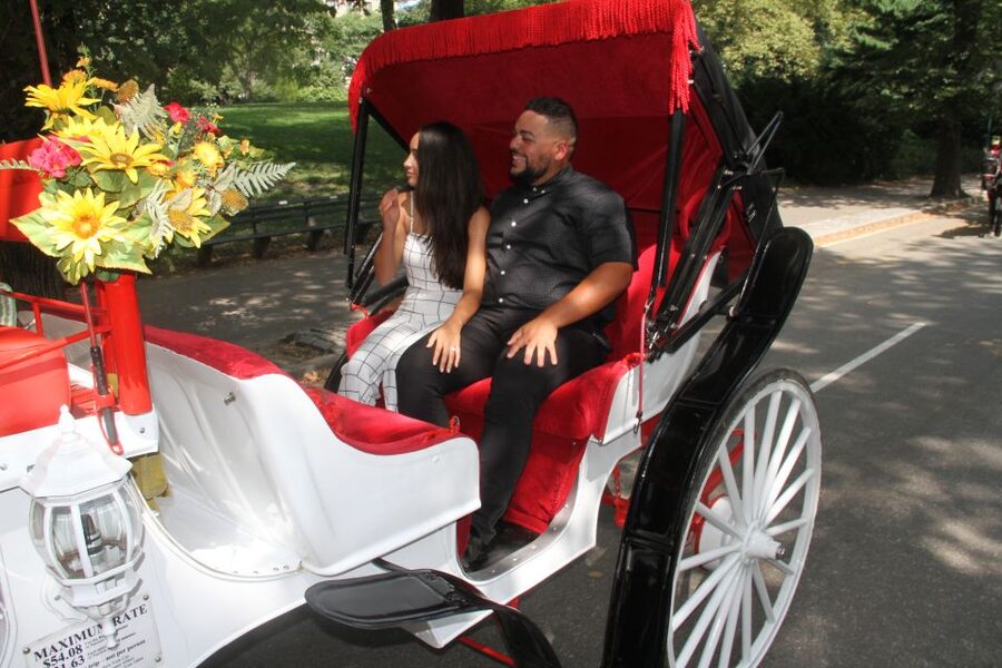 Romantic/Proposal Central Park Carriage Tour Up to 4 Adults - Key things that make this Central Park proposal carriage stand out