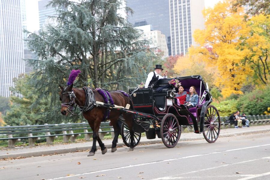 Romantic/Proposal Central Park Carriage Tour Up to 4 Adults - Optional photographer service: when it’s worth paying extra
