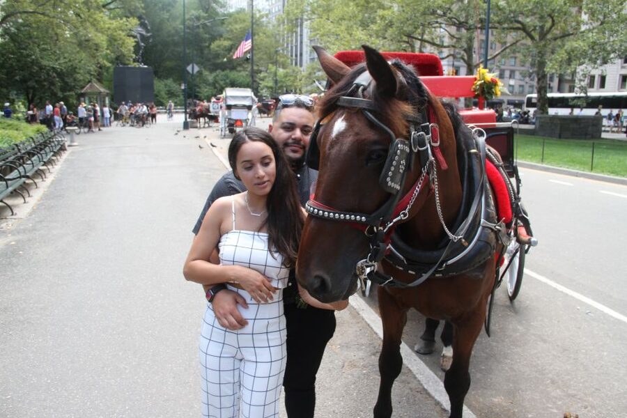 Romantic/Proposal Central Park Carriage Tour Up to 4 Adults - Why a Central Park carriage ride feels proposal-ready