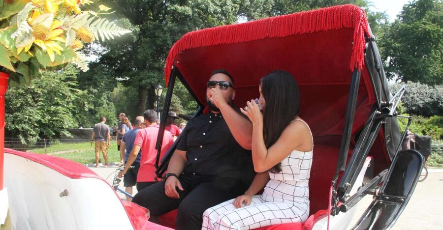 Romantic/Proposal Central Park Carriage Tour Up to 4 Adults - Champagne, roses, and the photo moment: what’s included and what to plan