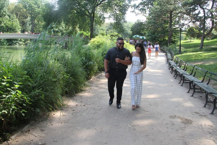 Romantic/Proposal Central Park Carriage Tour Up to 4 Adults - The live licensed guide: more than just directions