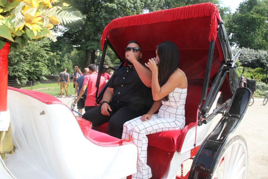 Romantic/Proposal Central Park Carriage Tour Up to 4 Adults - Private group setup: up to 4 adults, and why that’s worth it