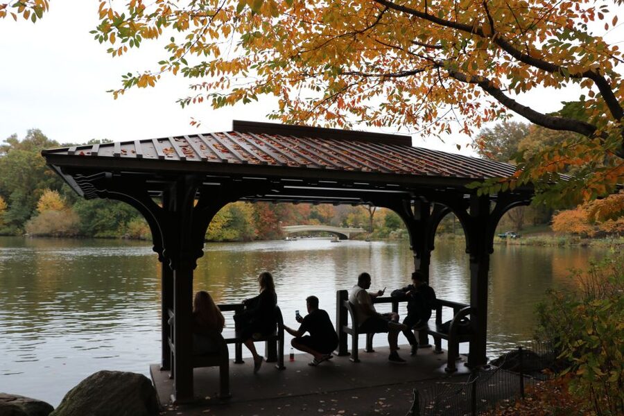 Romantic/Proposal Central Park Carriage Tour Up to 4 Adults - Price and value: what $425 per carriage really buys you
