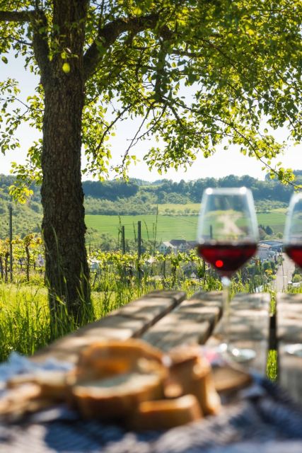 Romantic Road Ticket Würzburg - Rothenburg with Wine Tasting - Key Points You’ll Care About on This Romantic Road Wine Tour