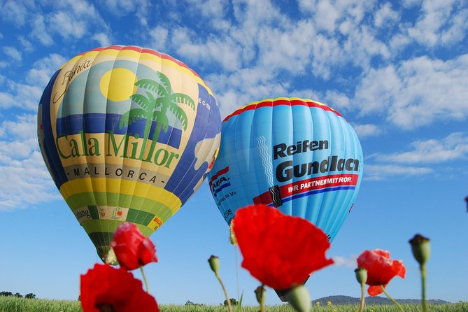 Romantic Sunrise Balloon Tour in Majorca - Price and logistics: does $229.77 feel worth it?