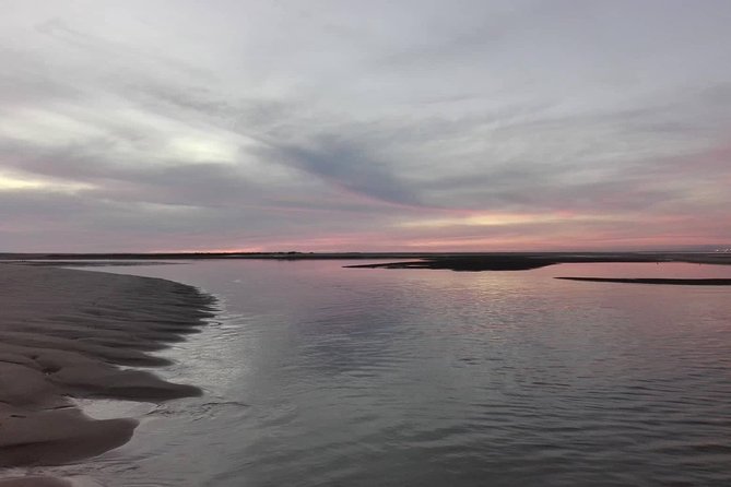 Romantic Sunset Tour in the Ria Formosa: From Faro - Who should book this romantic sunset tour from Faro