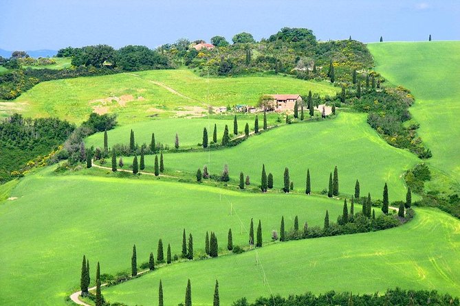 Romantic Vespa Tour and Wine Tasting - Inside Cantina Podere Casanova: what you learn during the vineyard visit